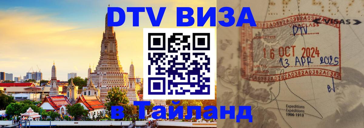 Оформление DTV визы под ключ: стоимость и тарифы, только загранпаспорт - 18.11.2025 